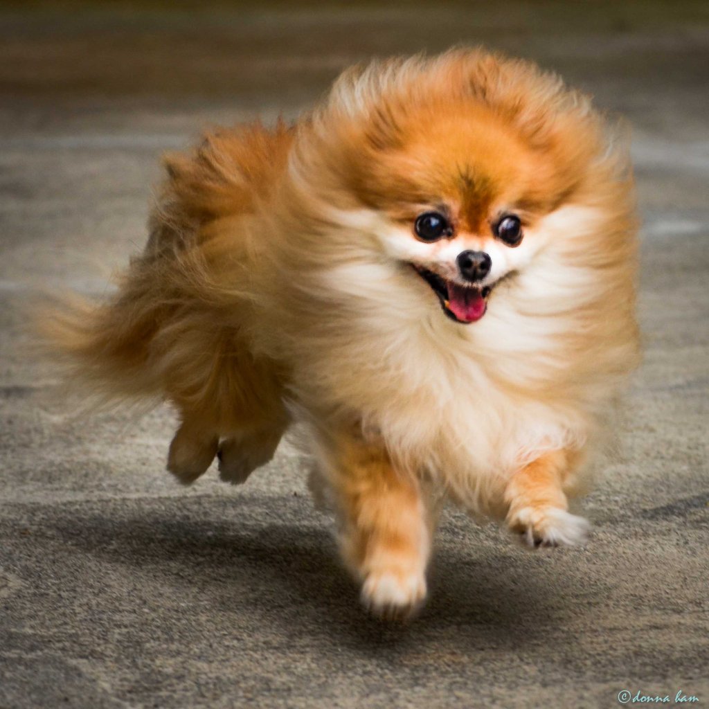 april 23 - 2012-04-22 at 06-09-35-1