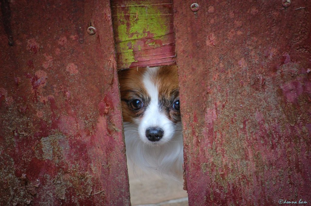 DSC_7933 - 2010-07-13 at 13-21-15-1